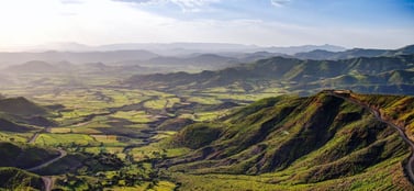 business-entities-in-ethiopia