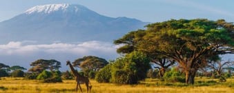 Starting a business in Kenya