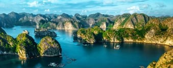 Starting a business in Vietnam