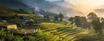 Starting a business in Indonesia