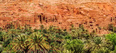 Comparison of Algeria's company types