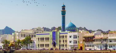 Types of companies in Oman a business formation guide