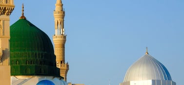 company-types-in-saudi-arabia