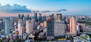 Business entity types in Philippines