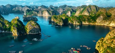 Vietnam business entities choosing the right company structure