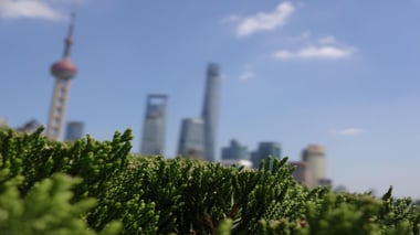 pexels-wong-djowo-771725-(1)