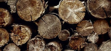 Timber portraying Latvia's top exports