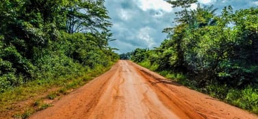 Liberia jungle road
