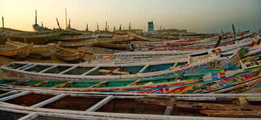 Colorful fishing boats lined along Mauritania’s coast, reflecting diverse business entities like SARL, branch and free zone navigating local markets.