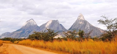 Northern Mozambique's jungle road winding through lush terrain, reflecting its diverse entity types.