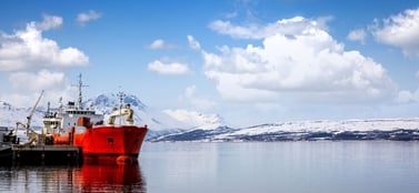 Norway’s fishing ports beneath steep mountains, reflecting its mix of company types.