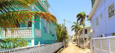 business-structures-in-belize-types-of-companies-compared