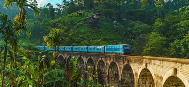 Sri Lanka business registration guide