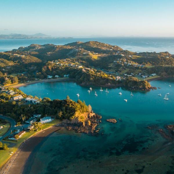 starting-a-business-in-new-zealand-switchback