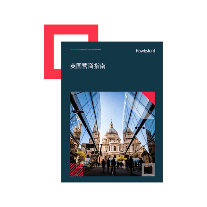 Guide in Chinese