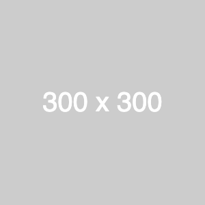 300x300