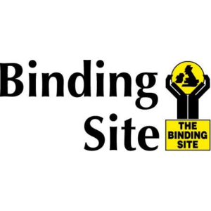 binding site 300